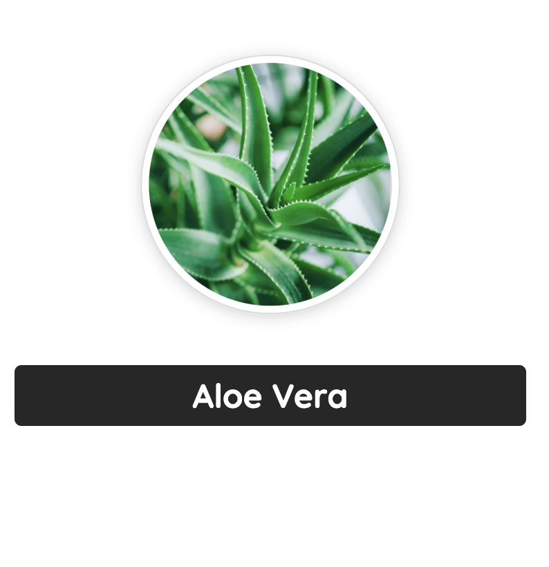 Captura de Tela 2025-05-08 às 23.47.13