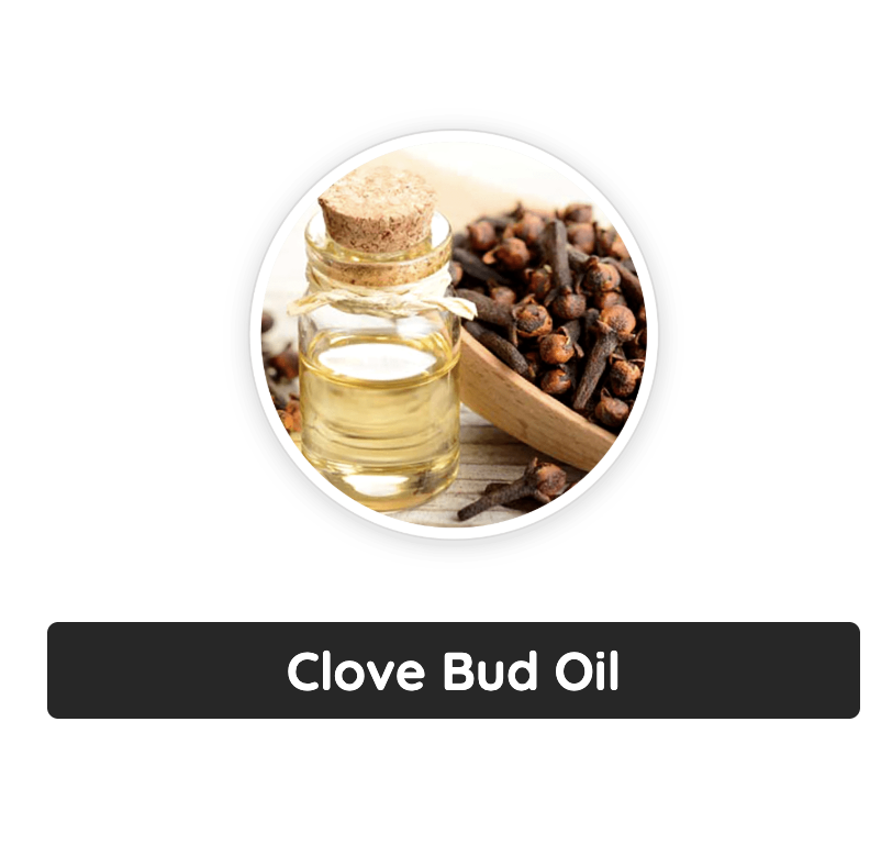 Captura de Tela 2025-05-08 às 23.47.29