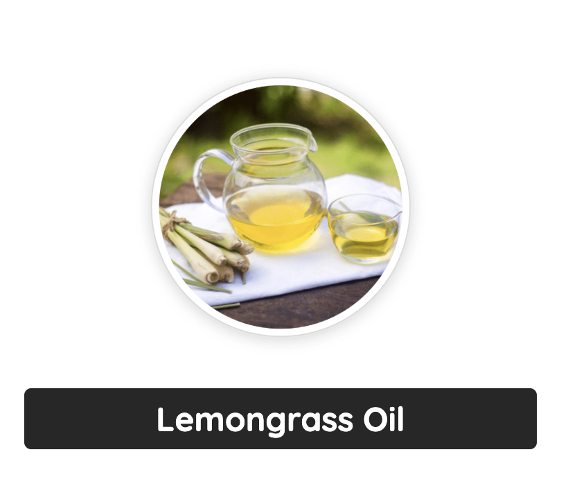 Captura de Tela 2025-05-08 às 23.47.48